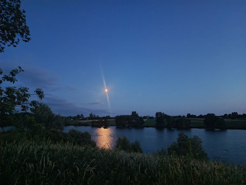 Photo #12476512