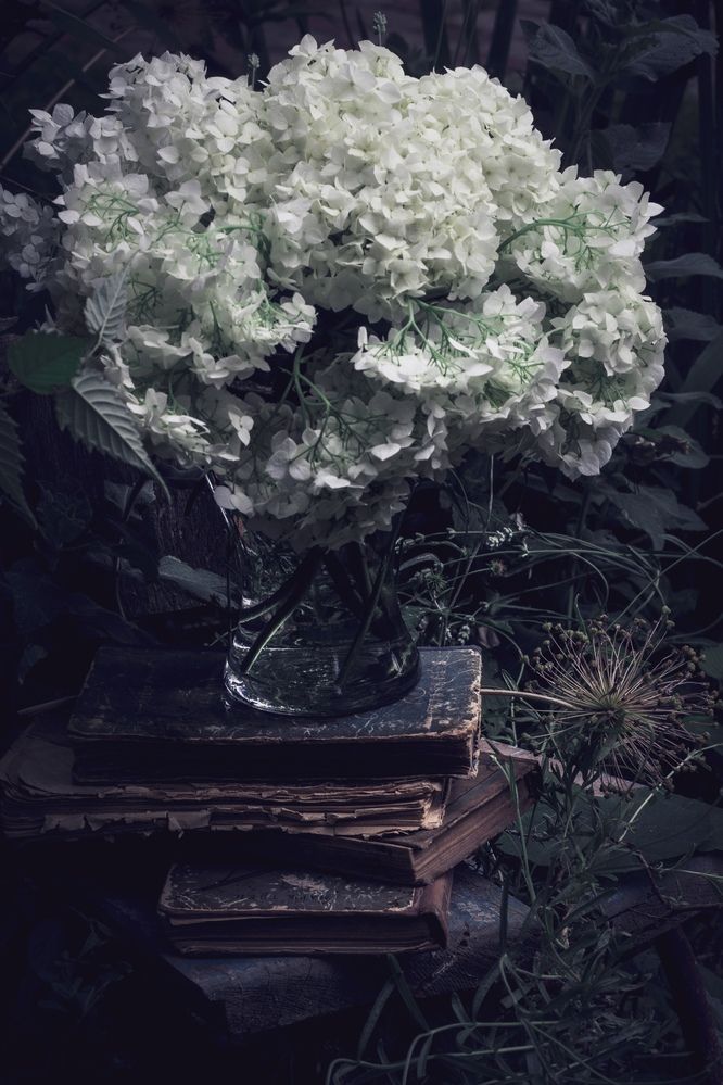 Фотография автора OXANA NAUMOVA