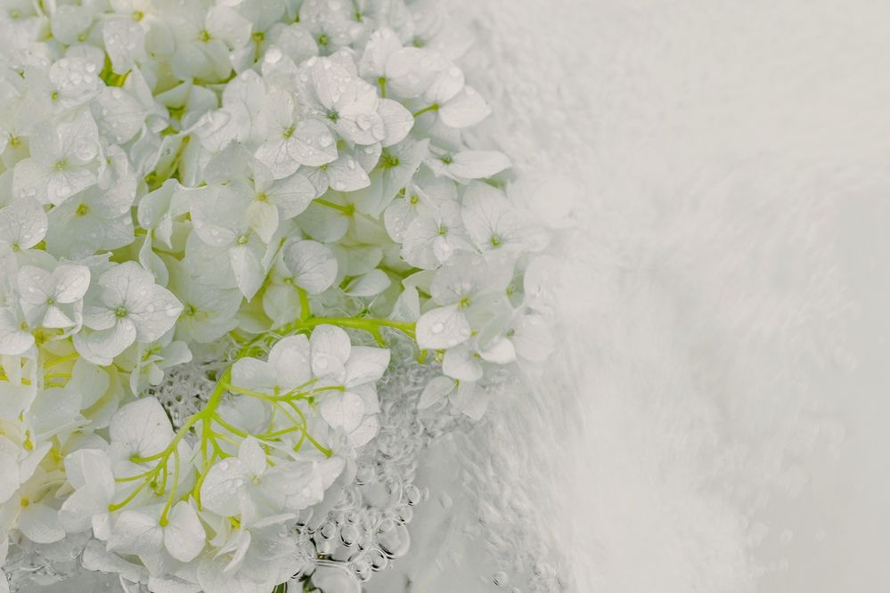 Фотография автора OXANA NAUMOVA