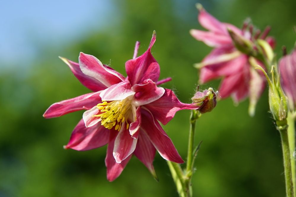 Photograph by сергей мишаков