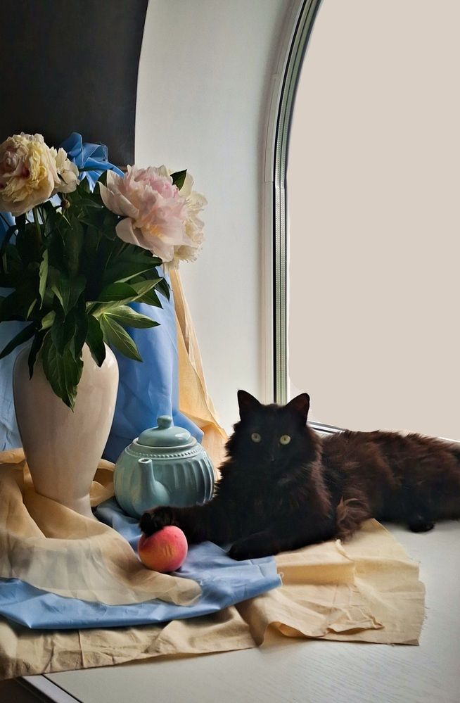 Photograph by Анастасия Селява