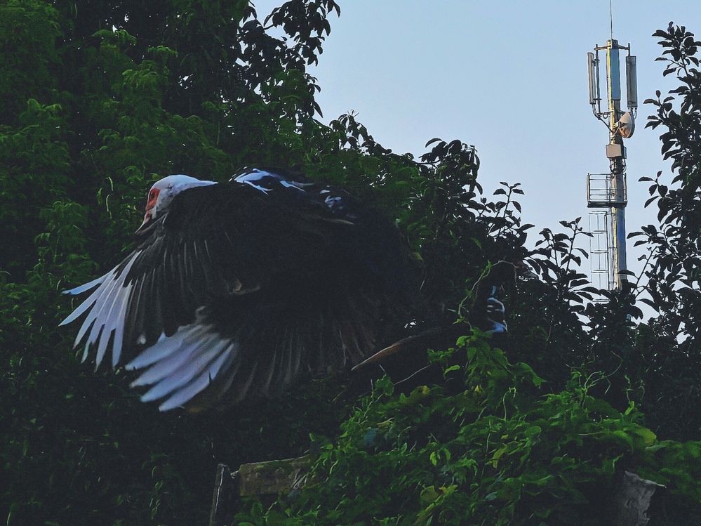 Фотография автора OXANA NAUMOVA