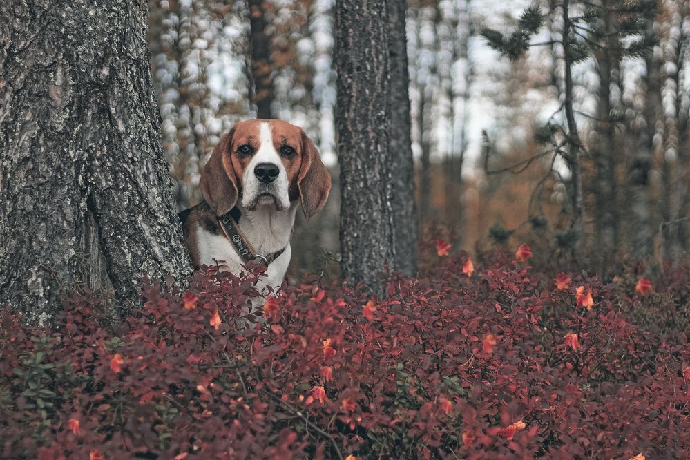 Photograph by Ирина Ахбаш
