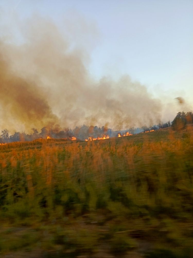 Photograph by Татьяна Пальчикова