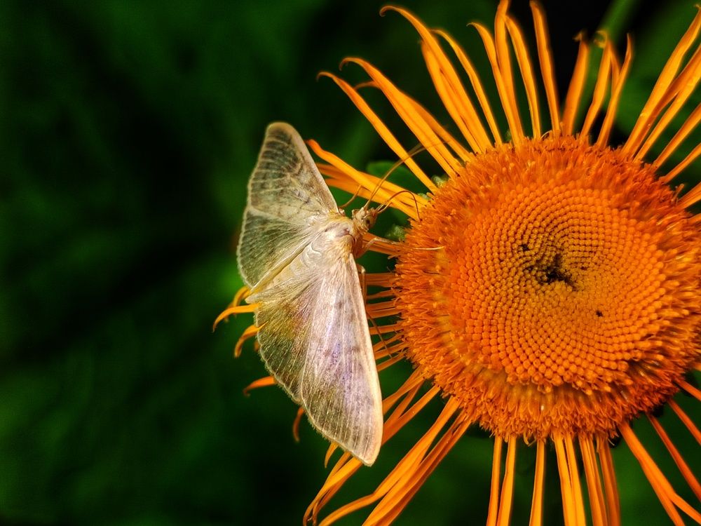 Photograph by Marina Mossiy