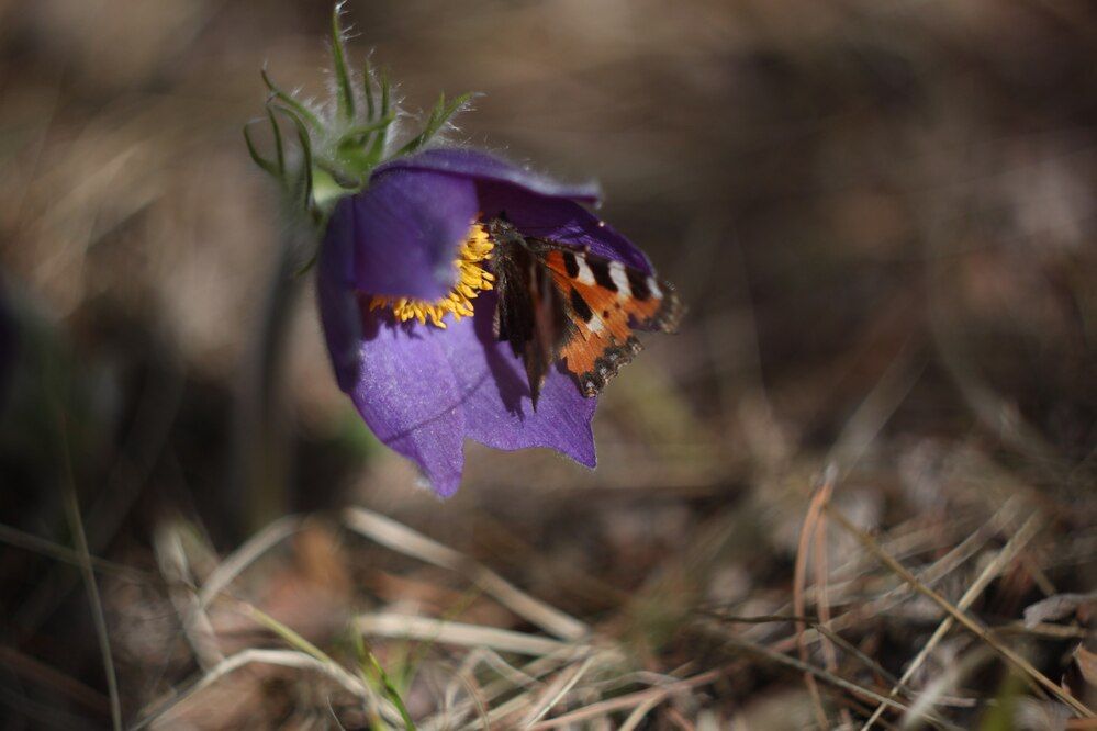 Photograph by Наталья Соболева
