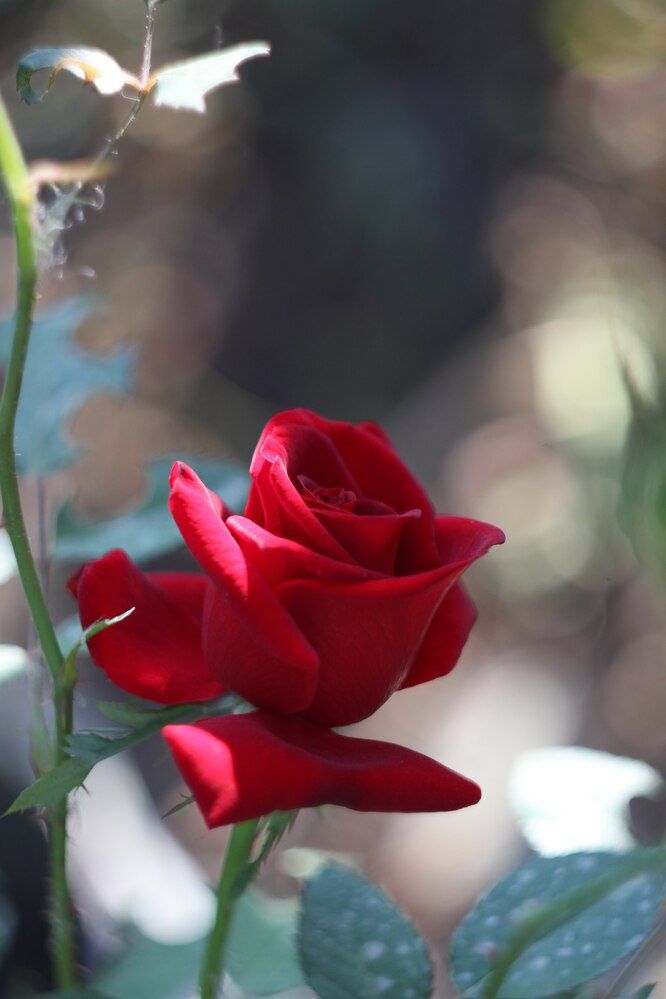 Photograph by Наталья Соболева