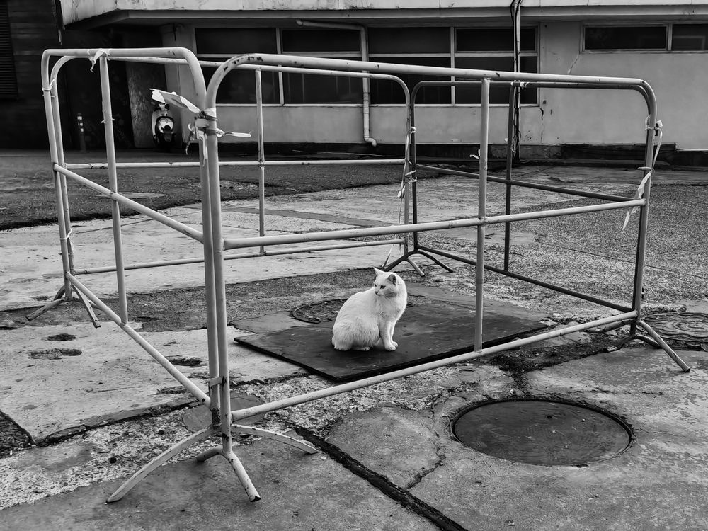 Фотография автора OXANA NAUMOVA