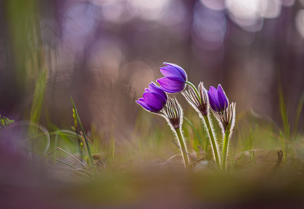 Photograph by Зайцев Роман