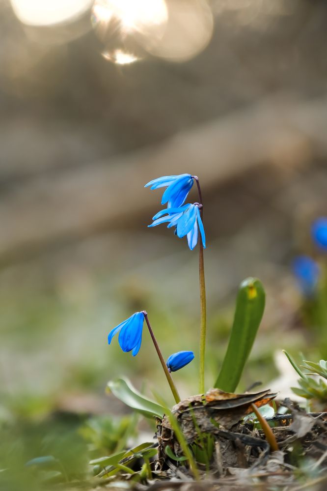 Photograph by Сергей Кравченко