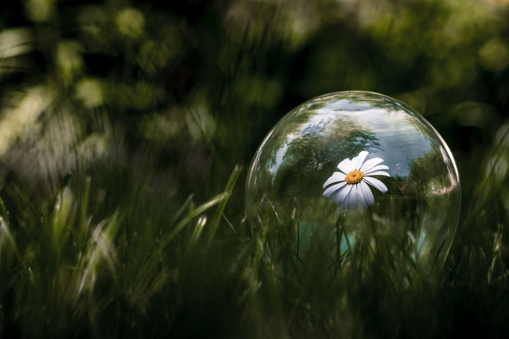 Photograph by Степан Ковыльчик