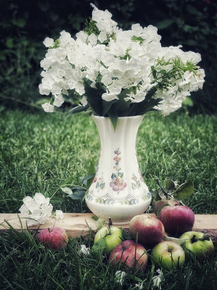 Photograph by Елена Ибрагимова