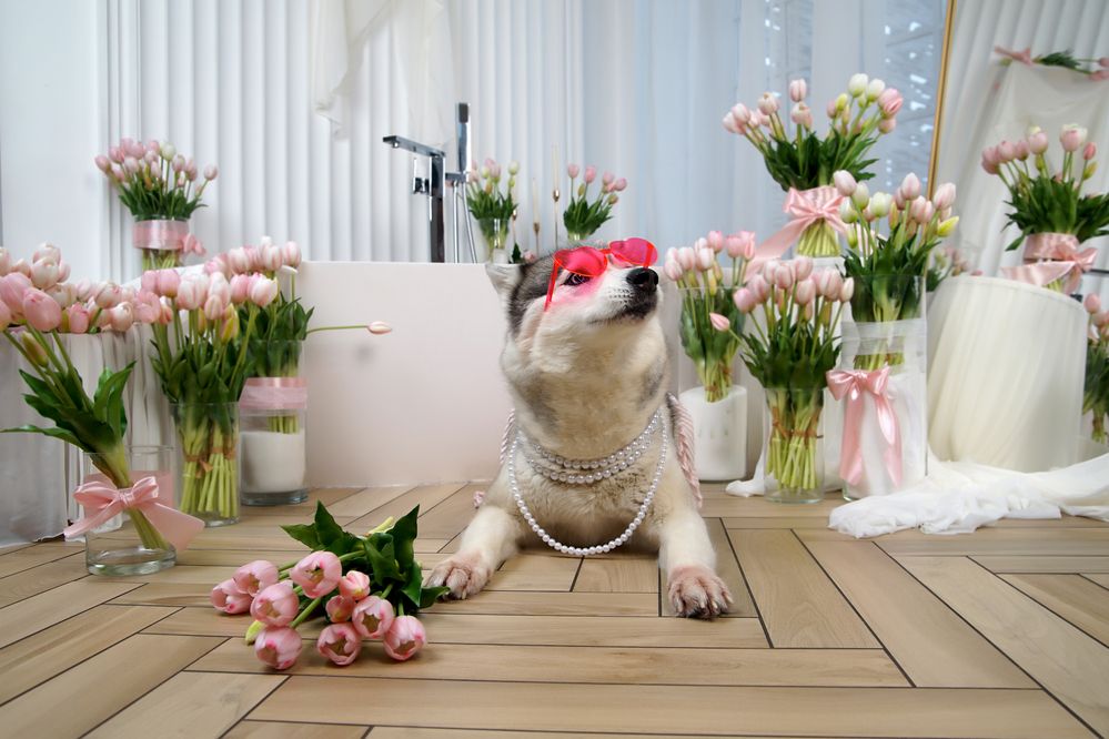 Photograph by Екатерина Евстигнеева