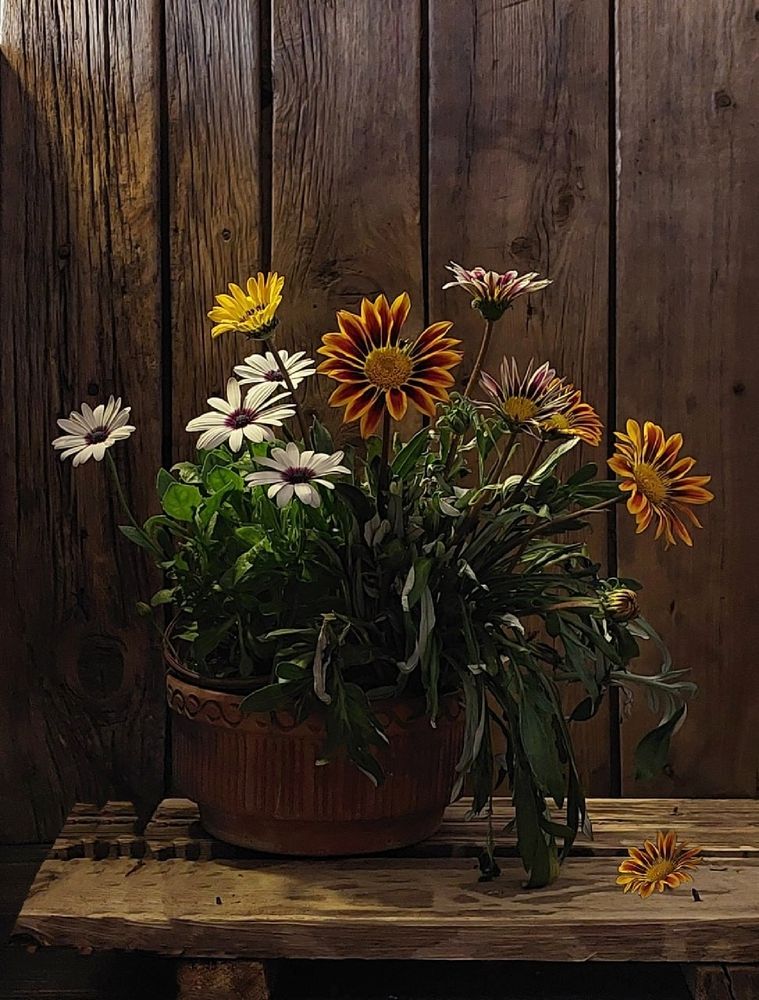 Photograph by Эмма Рахматуллина