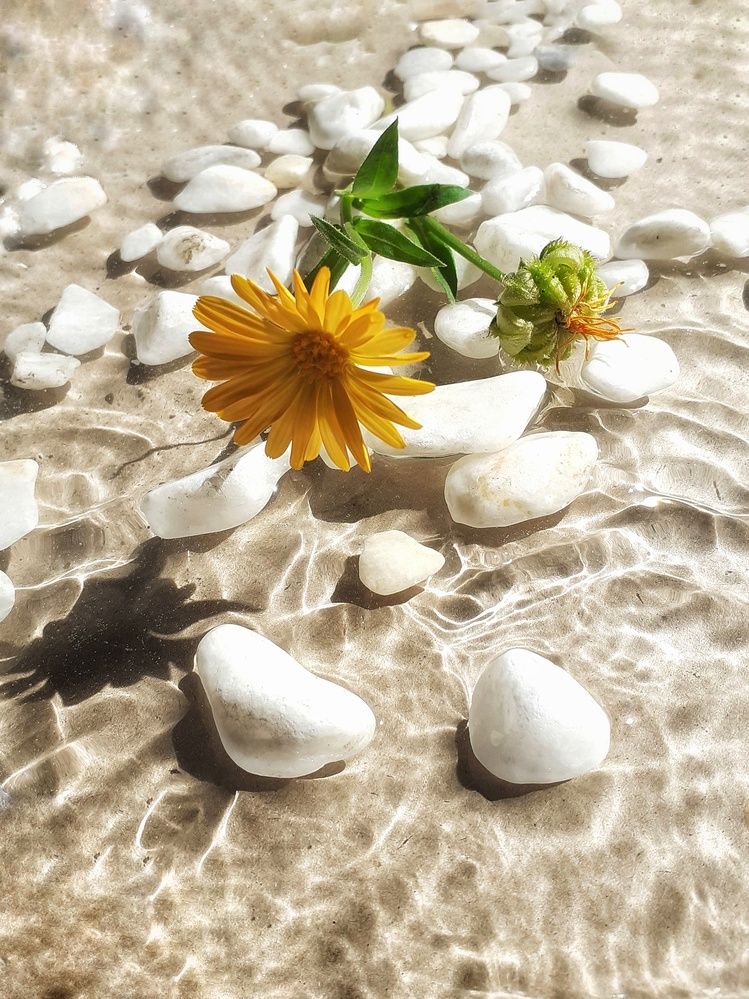 Photograph by Эмма Рахматуллина