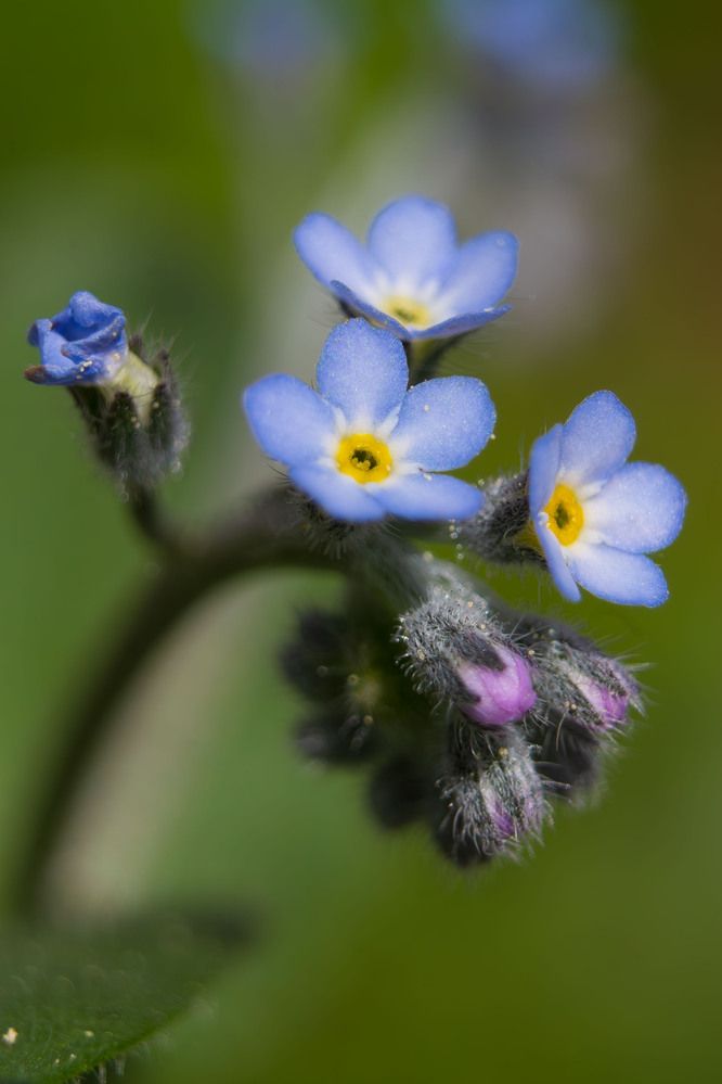 Photograph by Dina Garipova