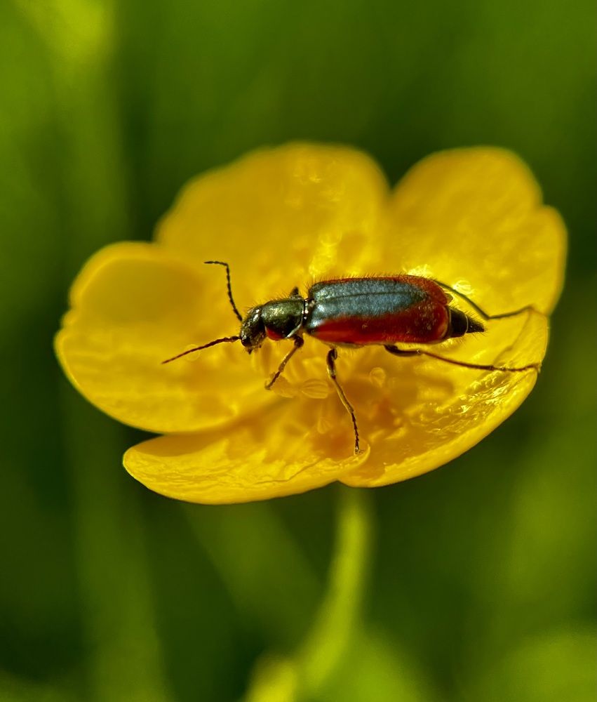 Photograph by Татьяна Михайловна