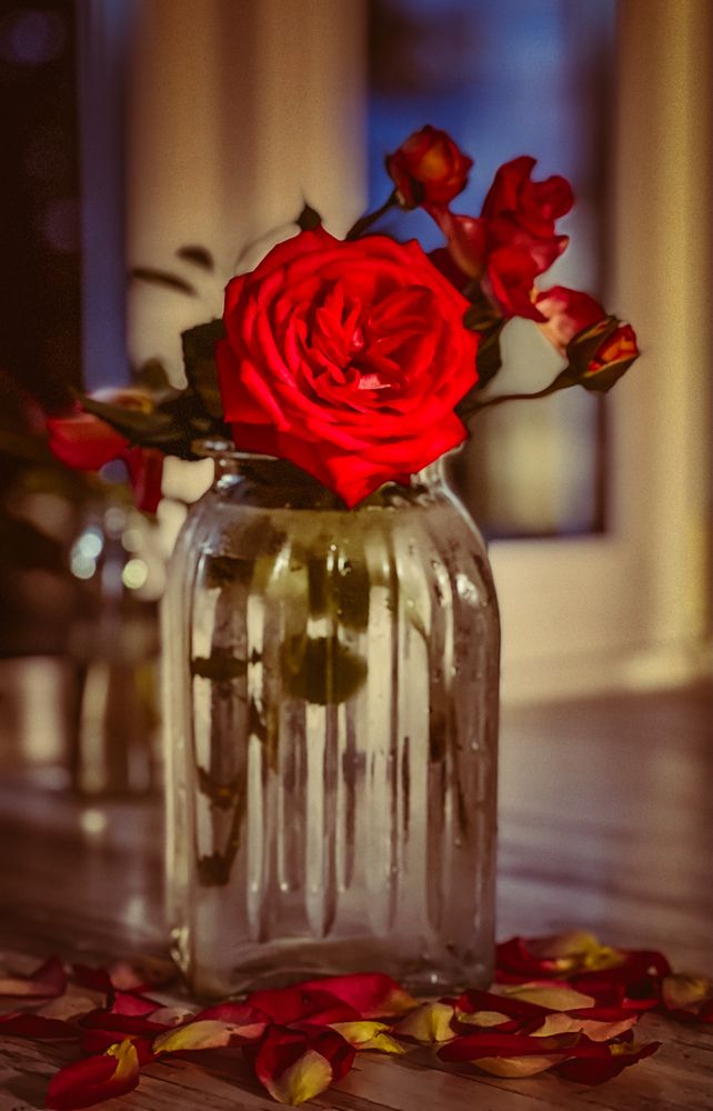 Photograph by Татьяна Михайловна