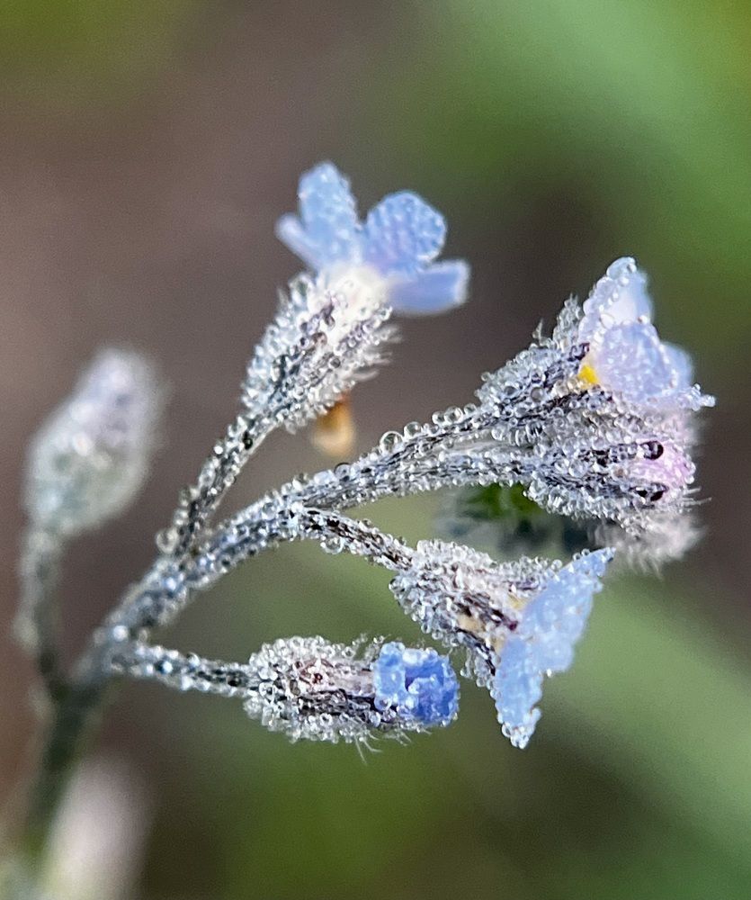 Photograph by Татьяна Михайловна