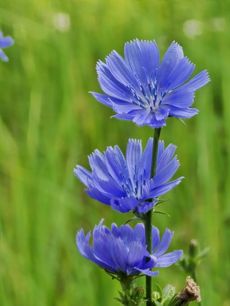 Photograph by Елена Ибрагимова