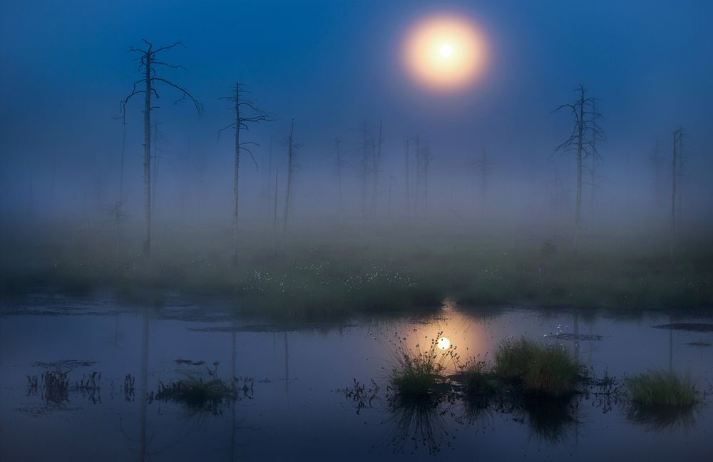 Photograph by Татьяна Борисова