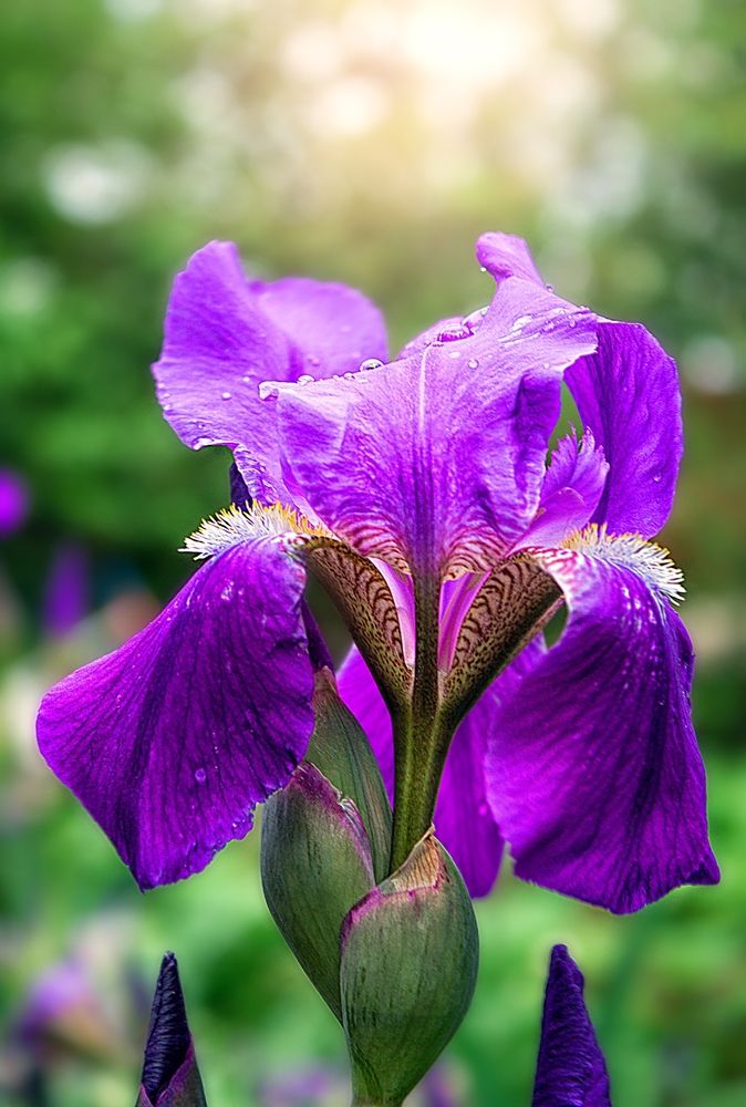 Photograph by Олег Белан