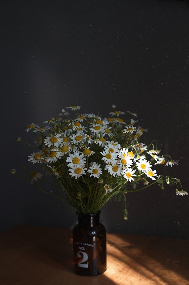 Photograph by Анастасия Скворцова