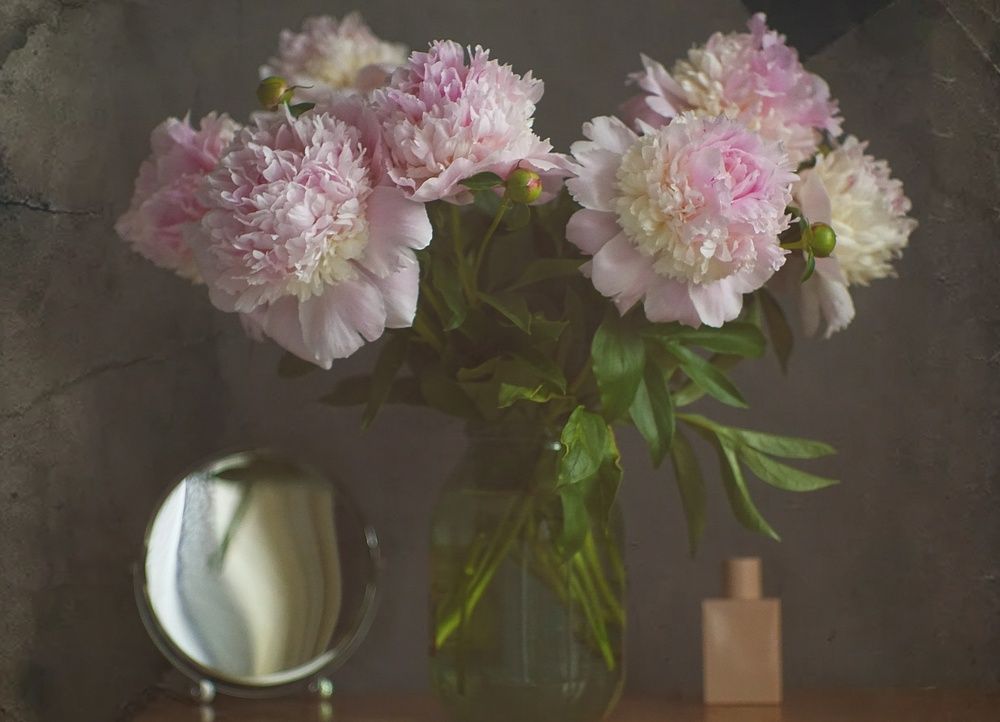 Photograph by Анастасия Скворцова