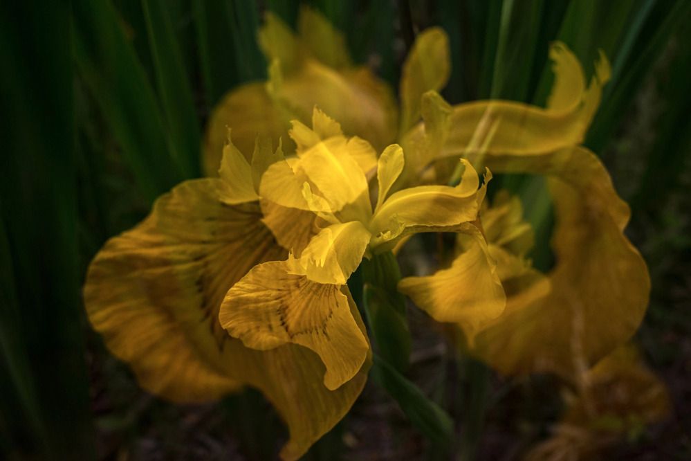 Photograph by Наталья Сафронова