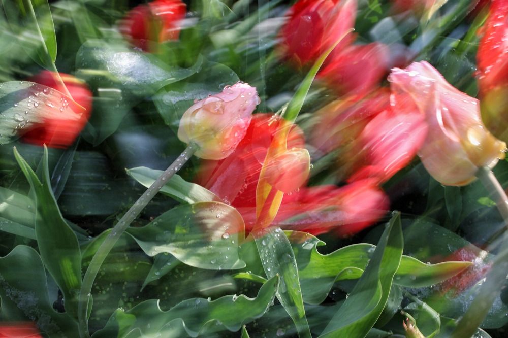 Photograph by Наталья Сафронова