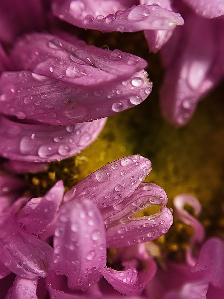 Photograph by Оксана Мельник