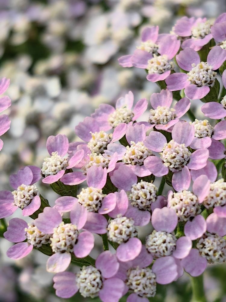 Photograph by Екатерина Исаева