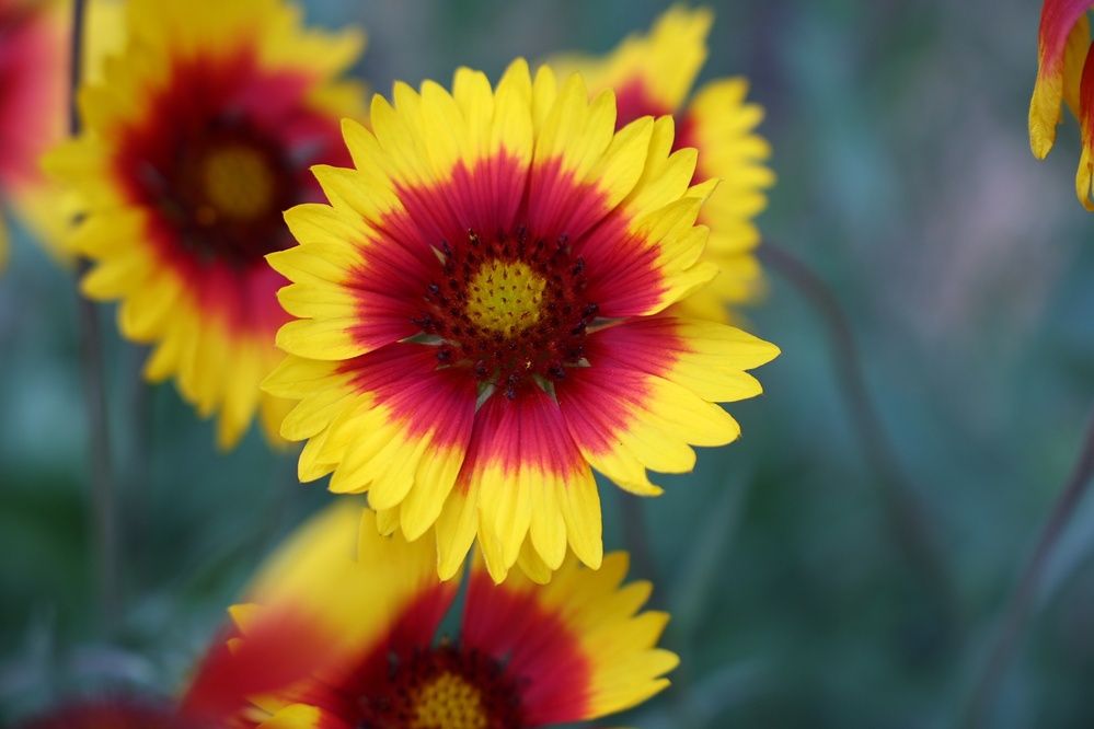 Фотография автора Иван Безрядин