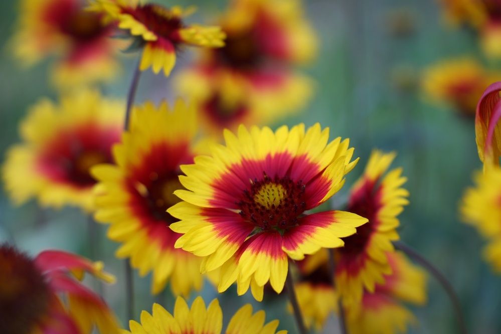 Фотография автора Иван Безрядин