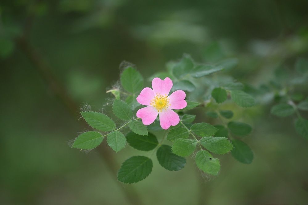 Фотография автора Иван Безрядин