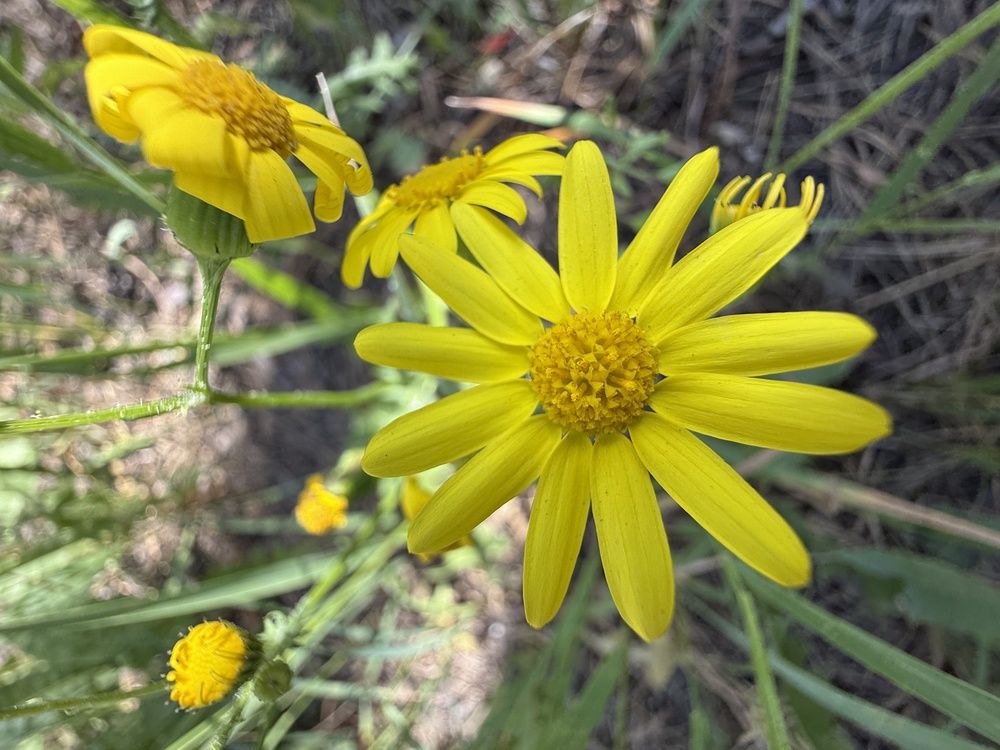 Фотография автора Иван Безрядин