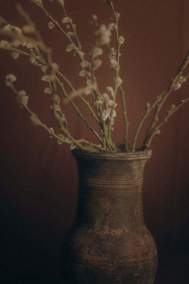 Photograph by Мария Лавриненко