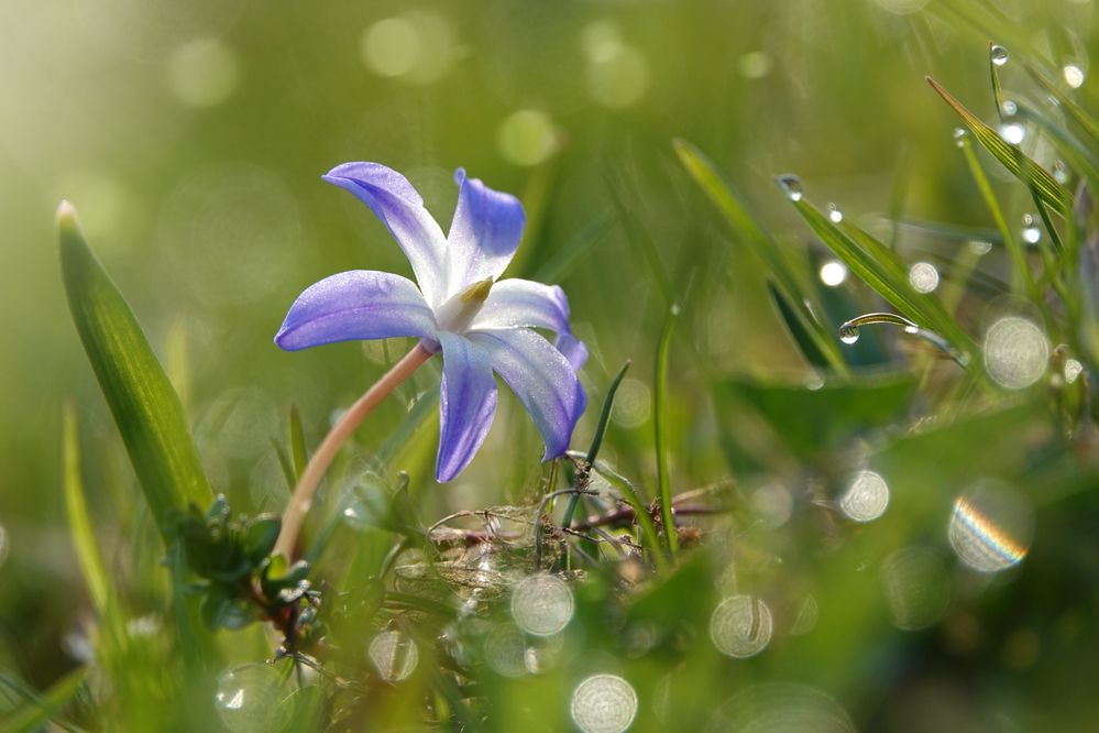 Photograph by Андрей Щербинин