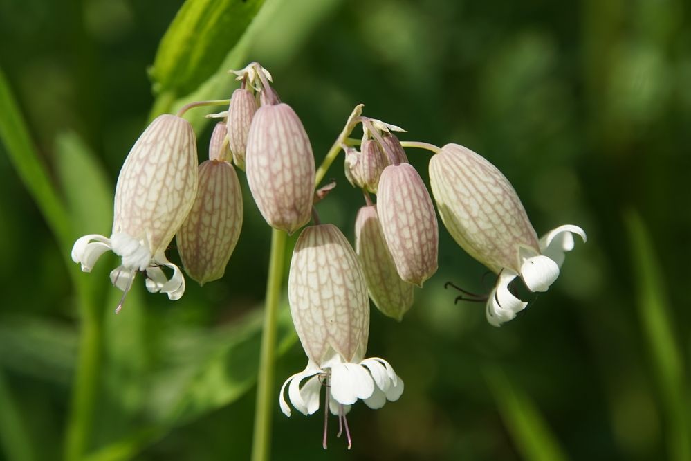 Photograph by сергей мишаков