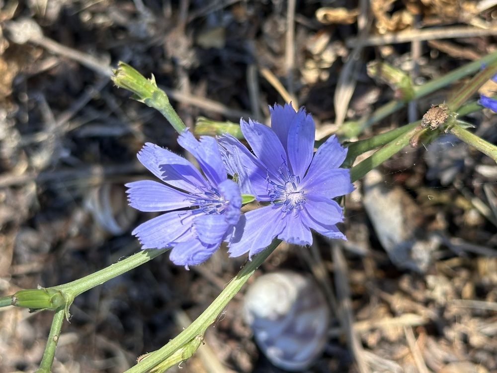 Photograph by Елена Мулькова