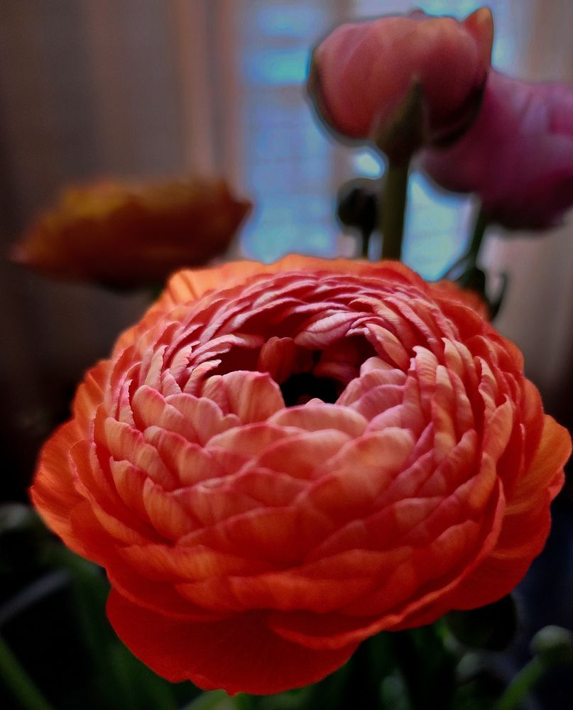 Фотография автора Galina Israilov