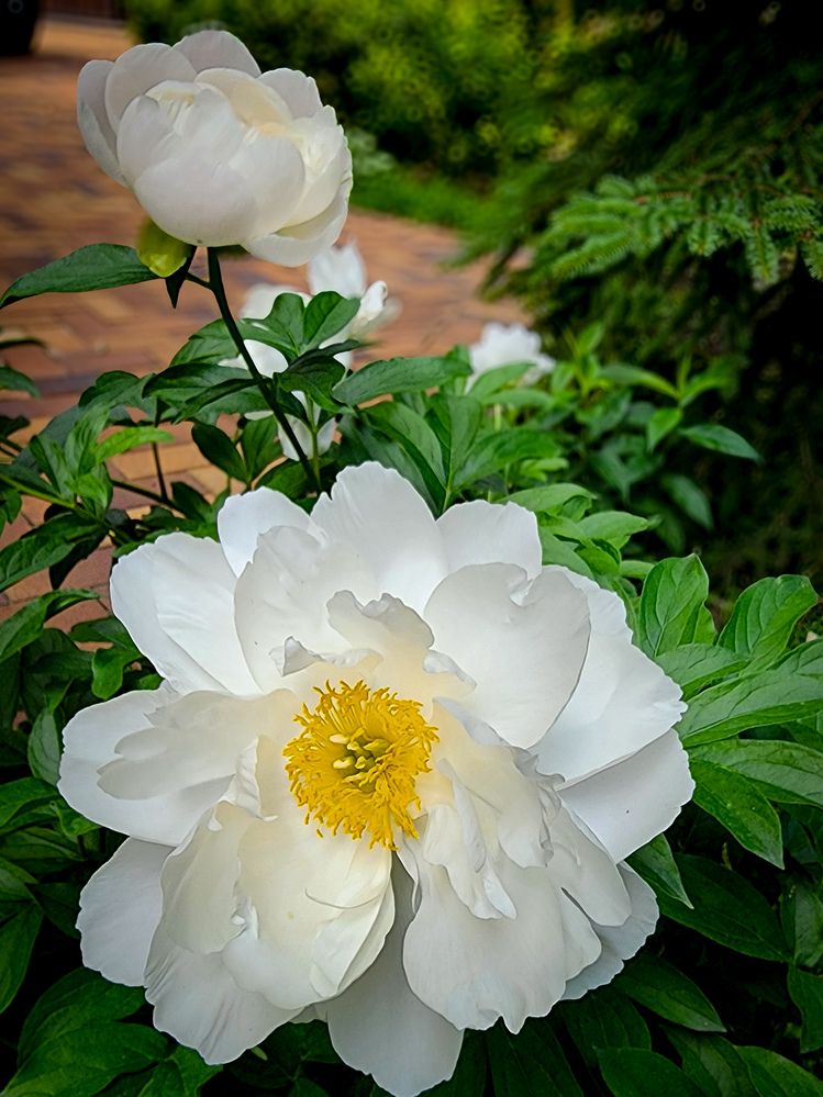 Фотография автора Galina Israilov