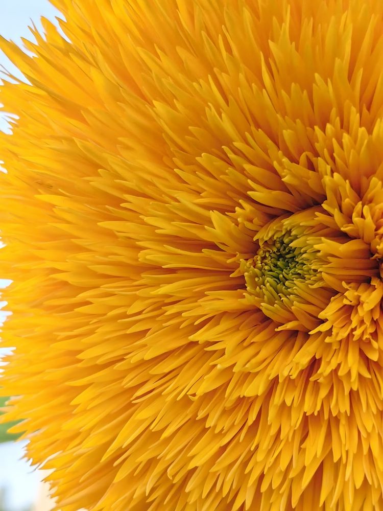 Photograph by Екатерина Исаева