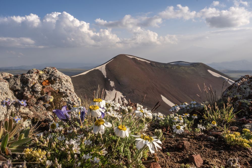 Photograph by Владимир