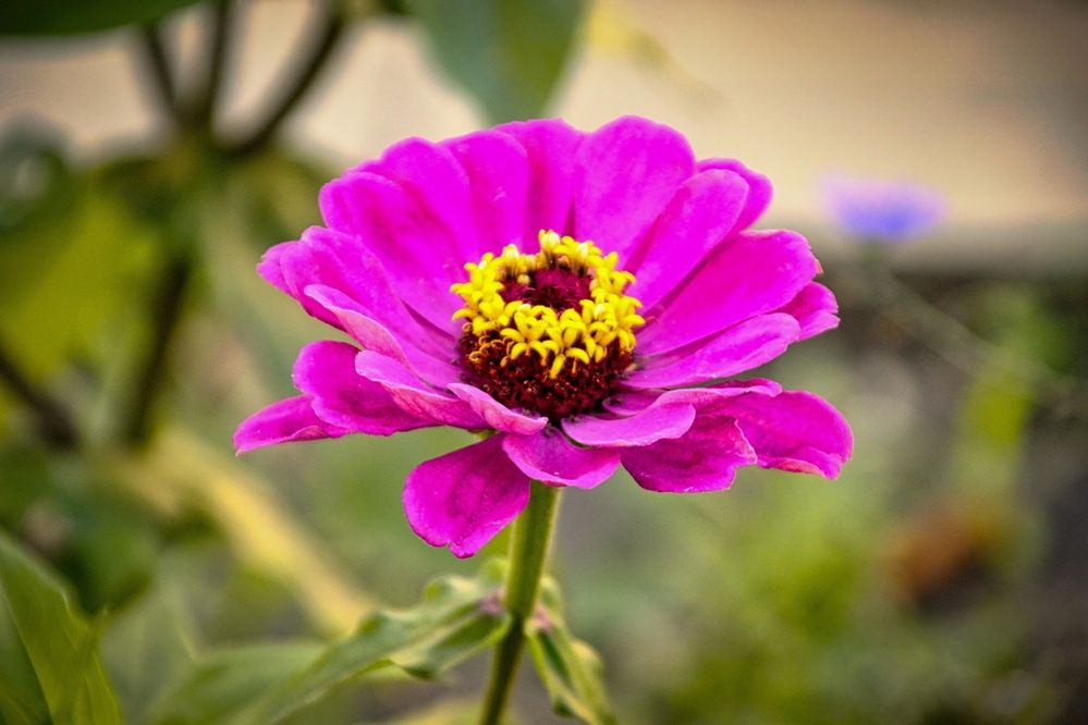 Photograph by Елена Малютина