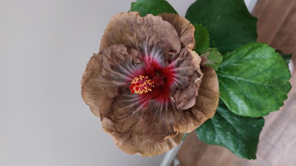 Photograph by Вадим Богатиков