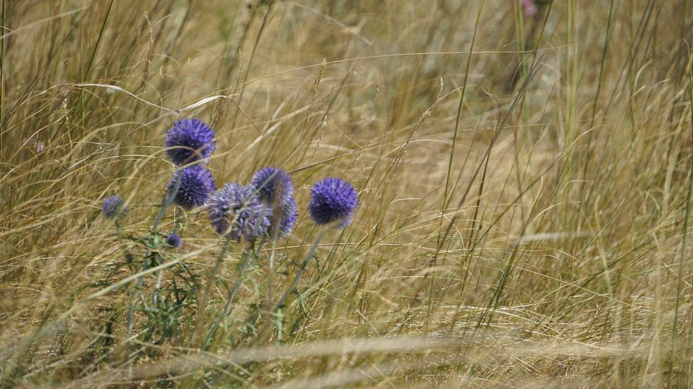 Photograph by Блюмина Елена