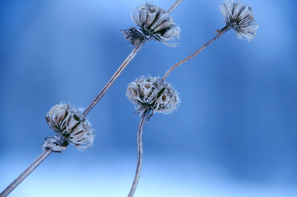 Photograph by Andrey