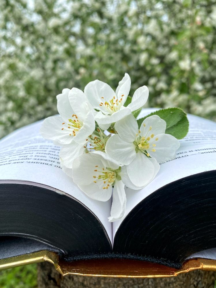 Photograph by Станислава Садыкова