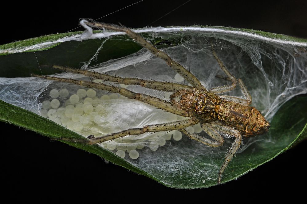 Photograph by ARUNAVA DEY